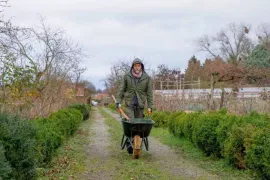 December op kasteel Hex: klimrozen snoeien en zaden bestellen