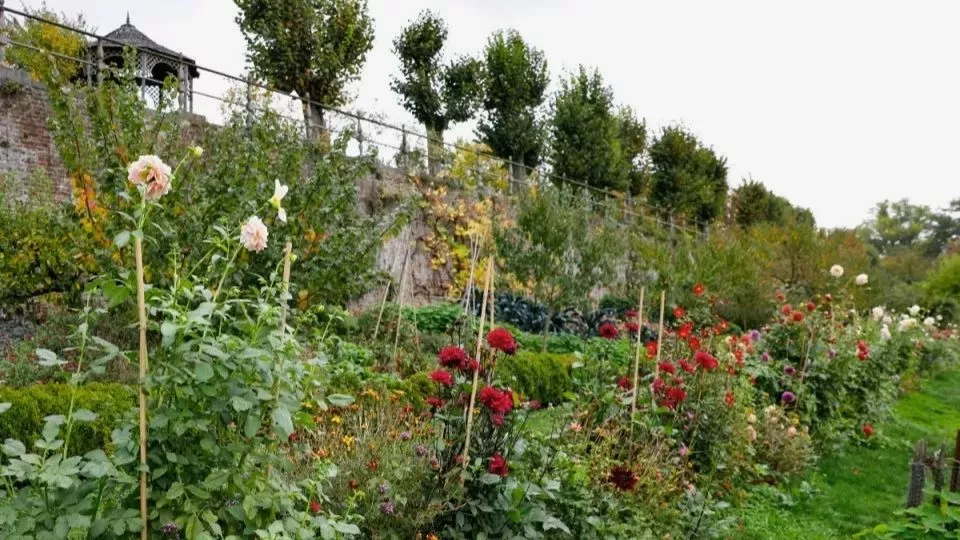 Afbeelding Oktober op kasteel Hex: rozen planten en de kelder vullen