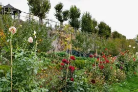 Oktober op kasteel Hex: rozen planten en de kelder vullen