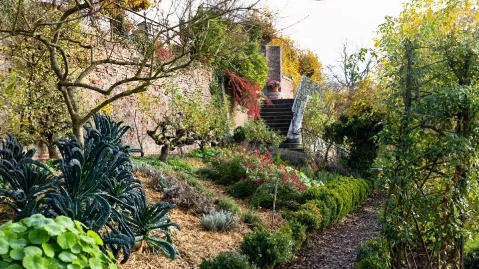 Afbeelding November op kasteel Hex: bollen planten en blote-wortelplanten