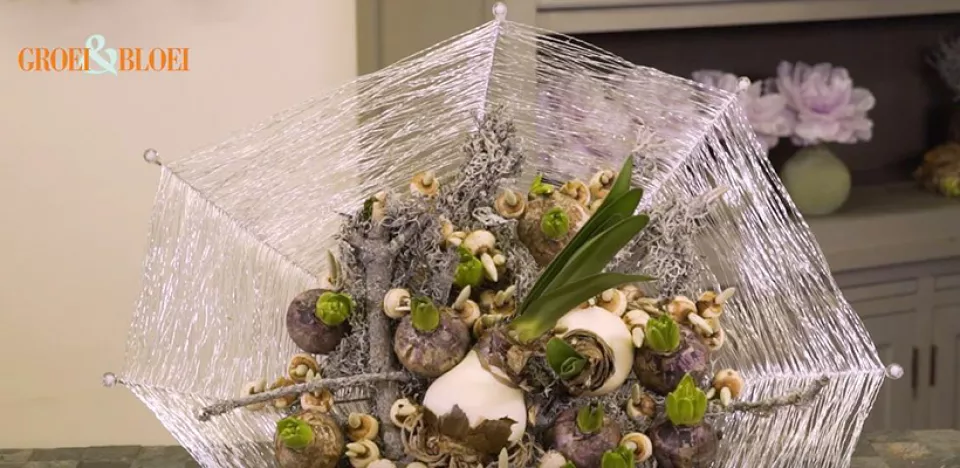 Afbeelding Draadboeket met bollen (video)