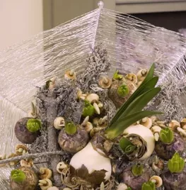 Draadboeket met bollen (video)