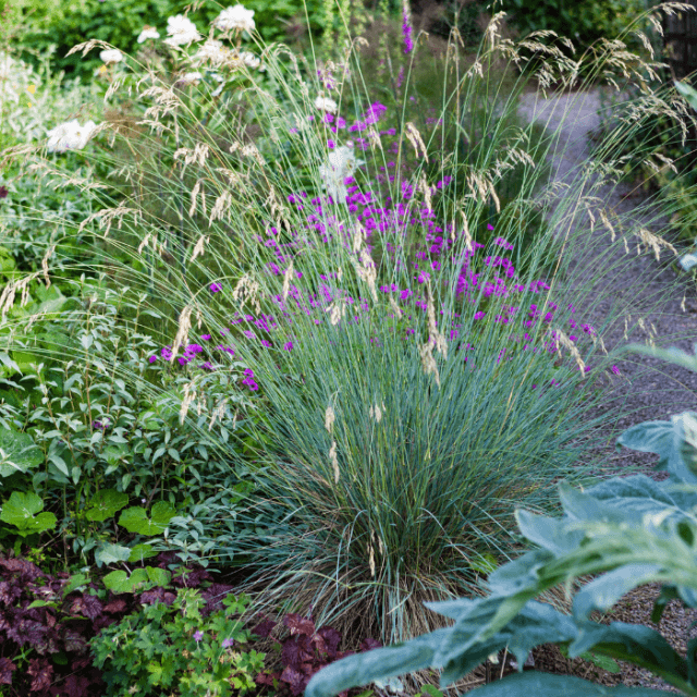 De 8 beste planten voor je dakterras