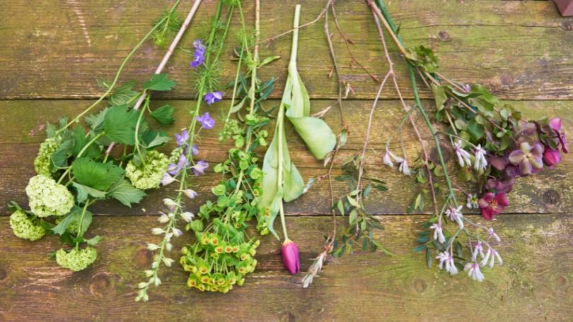 Beginnen met bloemschikken: leer kijken, kiezen en opbouwen