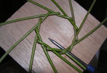 Vogelhuisje van wilgentakken