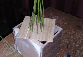 Vogelhuisje van wilgentakken