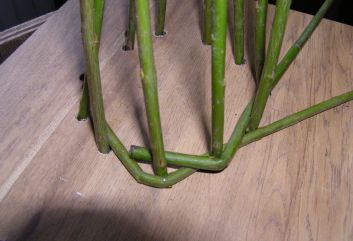 Vogelhuisje van wilgentakken