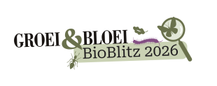 Groei & Bloei Bioblitz 2026: ontdek de biodiversiteit in je eigen tuin