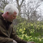 Stinzenplanten voor bloei in winter en voorjaar (video)