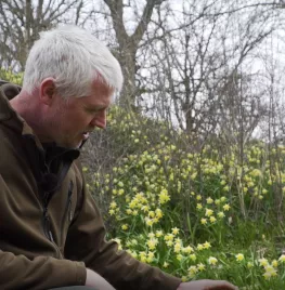 Stinzenplanten voor bloei in winter en voorjaar (video)