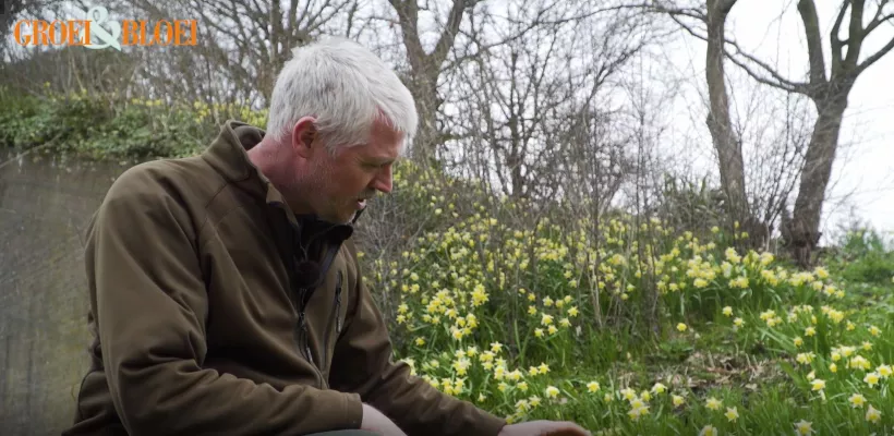 Stinzenplanten voor bloei in winter en voorjaar (video)