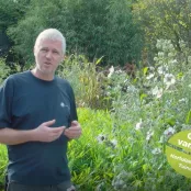 Zaden oogsten om zelf te zaaien (video)