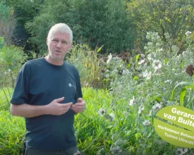 Zaden oogsten om zelf te zaaien (video)