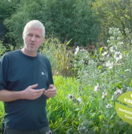 Zaden oogsten om zelf te zaaien (video)
