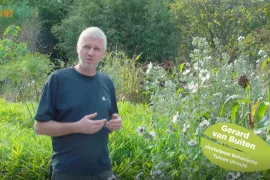 Zaden oogsten om zelf te zaaien (video)