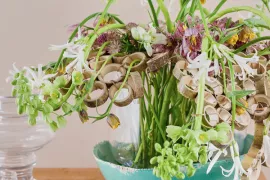 Geschikt voor de lente