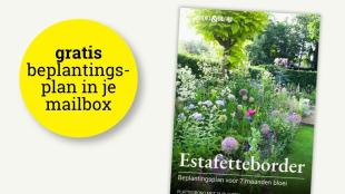 Special De Plantentuin: de mooiste borderplannen en planten voor elke tuin