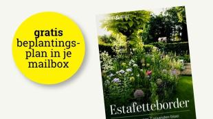 Beplantingsplan: één border, steeds bloei, 7 maanden in beeld
