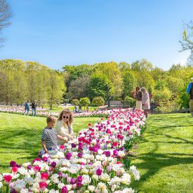 Win tickets voor de Kasteeltuinen Arcen