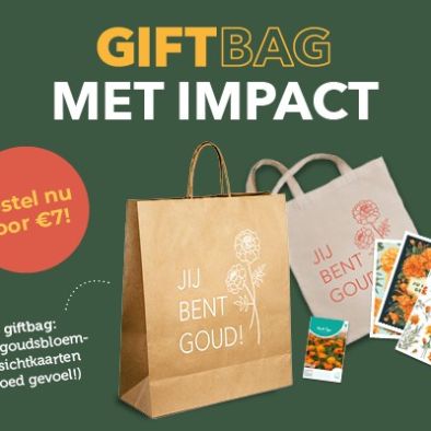 Goudsbloemen: klein van stuk, groots in impact