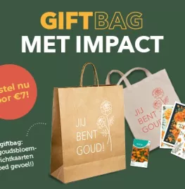 Goudsbloemen: klein van stuk, groots in impact