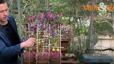 Kerst in de hoogte (video)