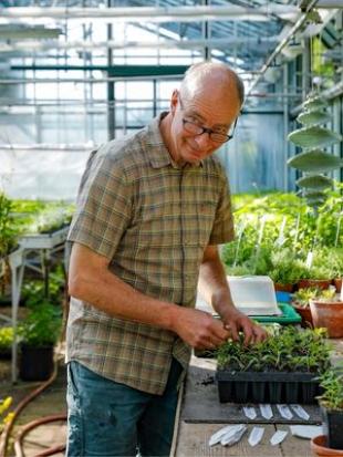 Astragalus galegiformis: de winterharde vaste plant die voor zichzelf zorgt