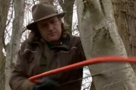 Boom omzagen (video)