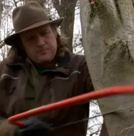 Boom omzagen (video)