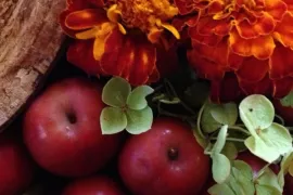 Vrolijk herfst tafereel!