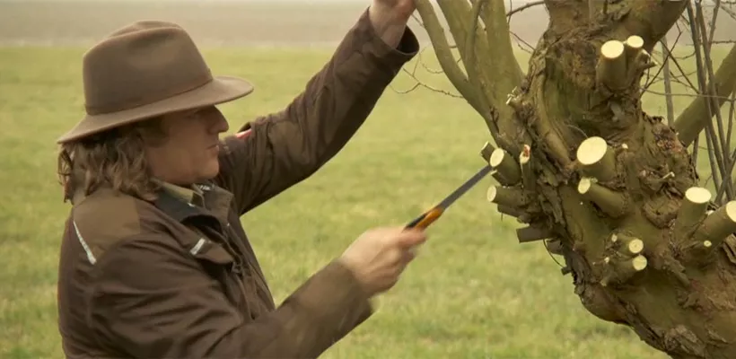 Wilg knotten (video)