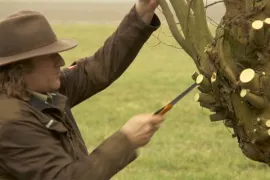 Wilg knotten (video)