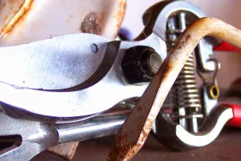 Snoeischaar slijpen (video)