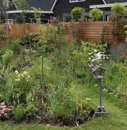G&B OpentuinTV: Tuin van Andrea en Frank in Heiloo