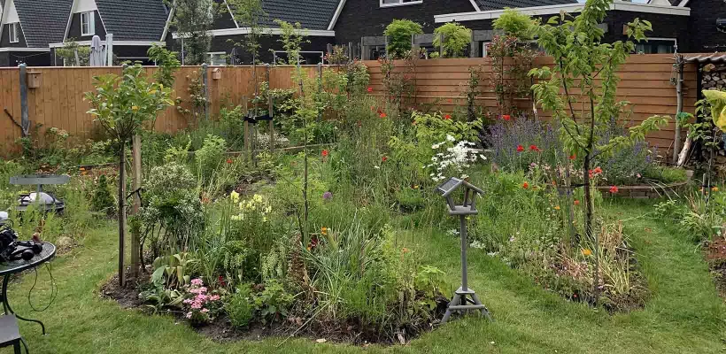 G&B OpentuinTV: Tuin van Andrea en Frank in Heiloo