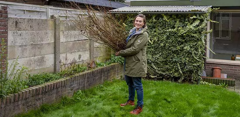 Schutting vlechten van wilgentakken in Katja’s klustuin