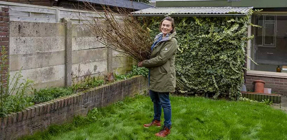 Afbeelding Schutting vlechten van wilgentakken in Katja’s klustuin