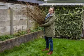 Schutting vlechten van wilgentakken in Katja’s klustuin