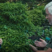 Schaduw ... en wat nog meer? (video)