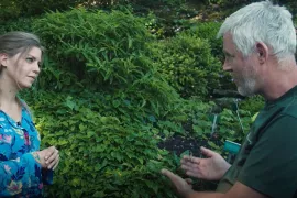 Schaduw ... en wat nog meer? (video)