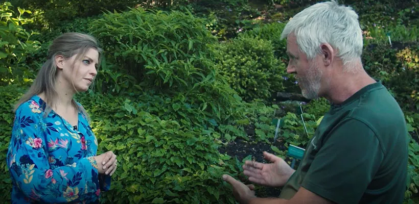 Schaduw ... en wat nog meer? (video)