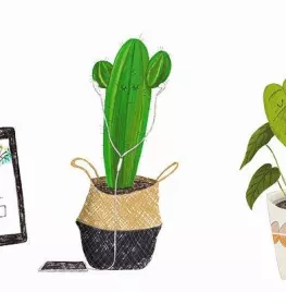 Groene podcast toppers