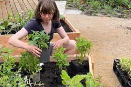 Eetbare bloemen en kruiden bij Groei & Bloei
