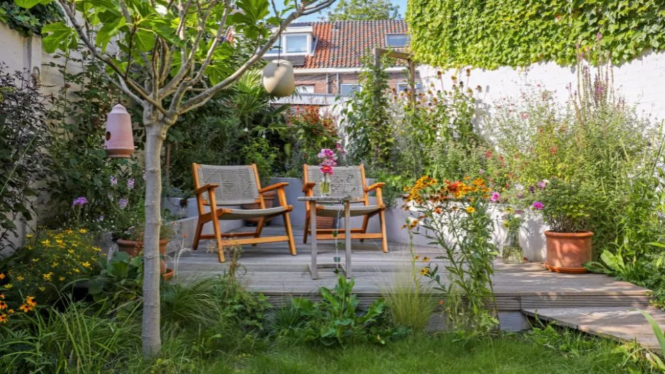 Afbeelding Een compacte stadstuin vol leven: dit is de Beste Levende Tuin 2026