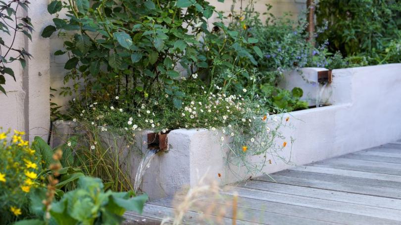 Een compacte stadstuin vol leven: dit is de Beste Levende Tuin 2026