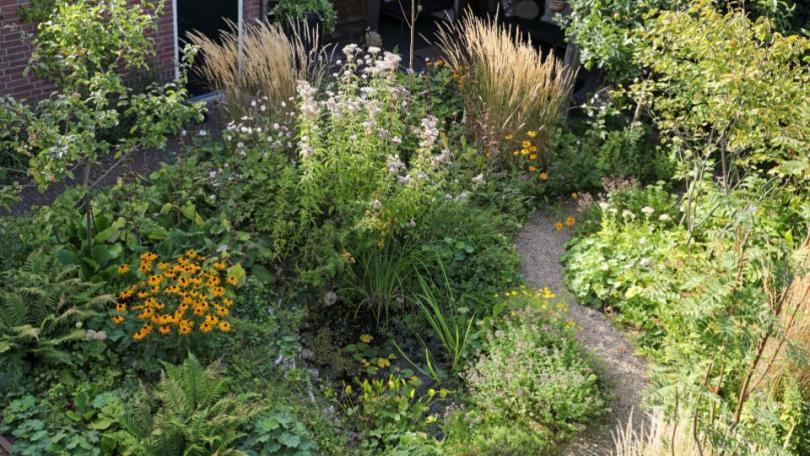 Een compacte stadstuin vol leven: dit is de Beste Levende Tuin 2026