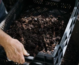 Bladaarde maken: zo maak je gratis aarde van herfstblad