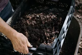 Bladaarde maken: zo maak je gratis aarde van herfstblad