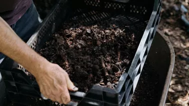Bladaarde maken: zo maak je gratis aarde van herfstblad