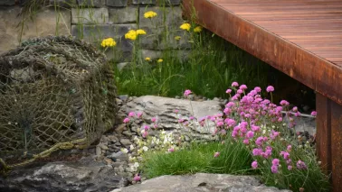 De beste zeewindbestendige planten voor tuin én balkon